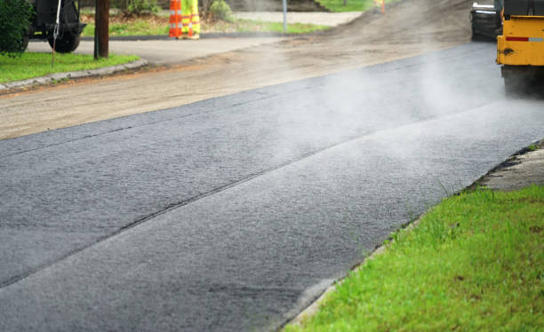 Best Interlocking Driveway Pavers  in Springfield, FL